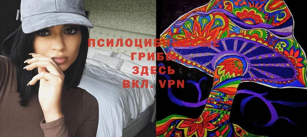 спайс Козловка