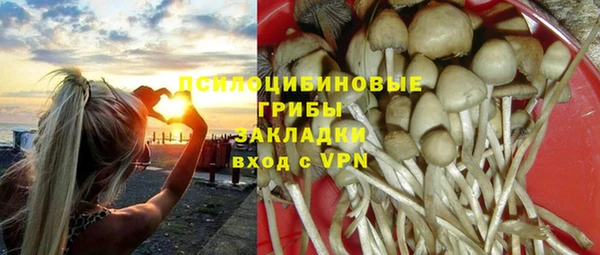 спайс Козловка